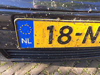 insecten op de nummerplaat
