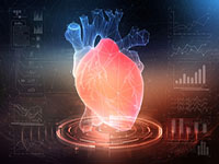 geprint levend 3d-hart