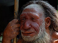 neanderthaler