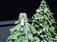 een sobere kerst